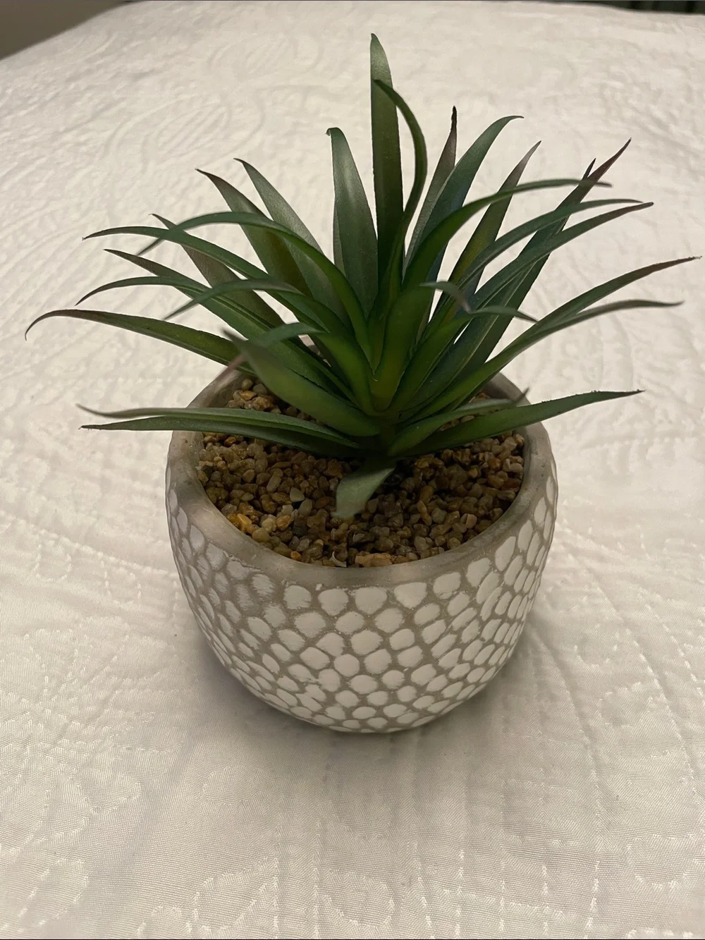 Artificial Faux Green Succulent Plant in Cement Pot Planter Excellent Condition